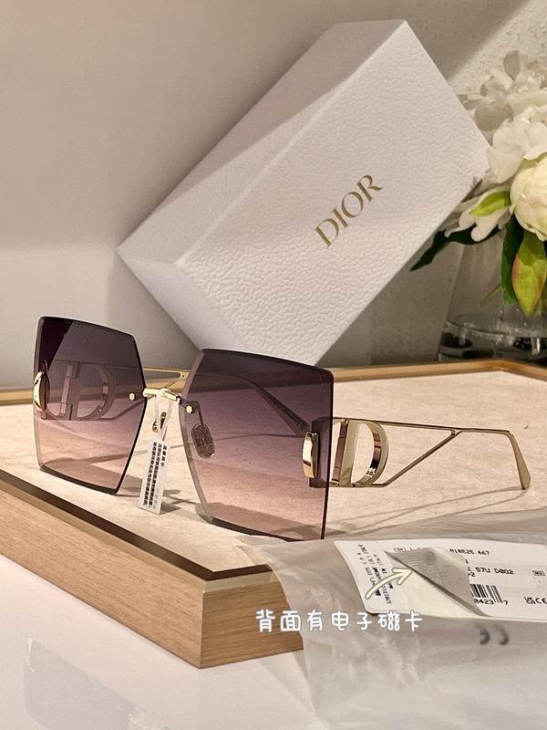 DIOR Sunglasses 204